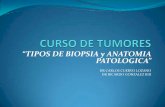 “TIPOS DE BIOPSIA y ANATOMIA PATOLOGICA” · en tumores raros y difÍciles de dx