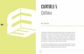 CAPÍTULO V Cultura - archivos.ujat.mx · representan una de las funciones sustantivas de nuestro proyecto educativo, promueve la formación de profesionistas altamente ... de 2010