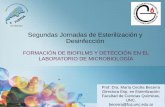 Segundas Jornadas de Esterilización y Desinfecciónfudesa.org.ar/wp-content/uploads/2016/10/Biofilms-Bs-As-Becerra-MC... · Gardnerella vaginalis Streptococcus mutans y Lactobacilos
