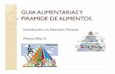 GUIA ALIMENTARIAS Y PIRAMIDE DE ALIMENTOSx · del Siglo XXI Prehistoria – 10 ... Qué son las guías Alimentarias? ... • Guatemala y Paraguay, además cuentan con guías para