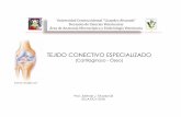TEJIDO CONECTIVO ESPECIALIZADO .TEJIDO CONECTIVO ESPECIALIZADO (Cartilaginoso) CARACTERISTICAS GENERALES