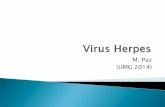 M. Paz (UMG 2014) - microinmuno.files.wordpress.com · de la piel causadas por muchos tipos de virus herpes ... Estadíos de exocitosis de virus herpes desde el núcleo, en el cual
