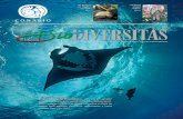 LAS TORTUGAS LAS BRUJAS DEL DESIERTO, …bioteca.biodiversidad.gob.mx/janium/Documentos/13359.pdf · arrastran cabos enredados, que les impiden nadar co - rrectamente y alimentarse,