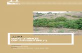 Dunas litorales con Juniperus spp. (*)€¦ · tipos de hábitat de interés comunitario en españa, promovida por la Dirección General de Medio Natural y Política Forestal ...