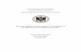 UNIVERSIDAD DE GRANADA - 0 …0-hera.ugr.es.adrastea.ugr.es/tesisugr/18323133.pdf · Nitrógeno del Departamento de Fisiología Vegetal de la Universidad de Granada, ... pequeño