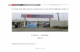 LIMA – PERU 2012 - Inicio · odontología 396 261 308 ... diez primeras causas de morbilidad en ... piramide poblacional en consultorio externo por grupo etareo y sexo anual: 2012