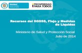 Recursos del SGSSS, Flujo y Medidas de Liquidez · Recursos del SGSSS, Flujo y Medidas de Liquidez Ministerio de Salud y Protección Social Julio de 2014