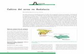 Cultivo del arroz en Andalucía - phytoma.com · parte de los demás municipios que lo rodean, también es de gran importancia ambiental, ... Bergia capensis ((arbolito) Echinochloa: