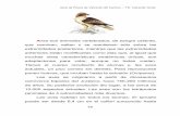 Guía de Fauna de Valverde del Camino T.E. Valverde … · Aves son animales vertebrados, de sangre caliente, ... que incuban hasta la eclosión ... morado y no sólo una mancha como