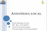 UCLA ANESTESIA LOCAL - … · OBJETIVOS Clasificar los principales anestésicos locales según su estructura química. Describir el mecanismo de acción y los principales efectos