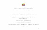 « DETERMINACIÓN DE SULFONATOS DE …repositorio.uchile.cl/tesis/uchile/2006/valle_m/sources/valle_m.pdf · La aplicación de biosólidos a suelos, podría incorporar una serie de