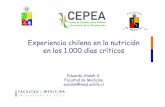 Experiencia chilena en la nutrición en los 1.000 días …cepea.com.ar/cepea/wp-content/uploads/2013/11/Presentación-Dr... · Leche y cereales extruidos Semidescremada Baja en lactosa