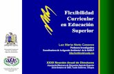 Flexibilidad Curricular en Educación Superiorambiental.uaslp.mx/docs/LMNC-PP-0210-FlexCurr.pdf · Es traducido o moldeado por agentes Se materializa en interacciones cotidianas Permite