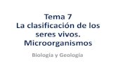 Tema 7 La clasificación de los seres vivos. · PDF fileLos microorganismos pertenecen a los reinos Moneras,Protoctistas y Hongos. Algunos microorganismos son beneficiosos para el