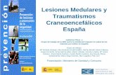 Lesiones Medulares y Traumatismos Craneoencefálicos España · – En España se estima que se producen cada año unos 2.500 casos nuevos de TCE grave – 20 casos por millón de