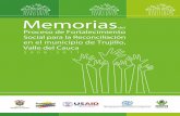 Memorias del proceso de fortalecimiento - … · Programa de Reintegración con Enfoque Comunitario - OIM. Camilo Leguízamo Coordinador ... con el propósito de que la comunidad