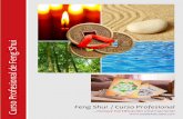 Curso Profesional de Feng Shui / Certificación …doblefelicidad.com/brochure_junio2017.pdf · 3 TIPS para atraer PROSPERIDAD a tu vida Impregna tu casa de energía positiva Feng