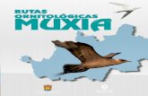 RUTAS ORNITOLÓGICAS MUXIAconcellomuxia.com/wp-content/uploads/2017/01/Guía-de-aves-esp.pdf · tica, con grandes contingentes de aves acuáticas y marinas y una heterogé-nea muestra