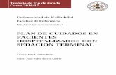Plan de cuidados en pacientes hospitalizados con … · Universidad de Valladolid Facultad de Enfermería GRADO EN ENFERMERÍA PLAN DE CUIDADOS EN PACIENTES HOSPITALIZADOS CON …