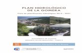 PLAN HIDROLÓGICO DE LA GOMERA - Consejo Insular de Aguas de … · Clasificación de ecotipos de las aguas costeras de Canarias. .....387 Tabla 124. Información ... Principales