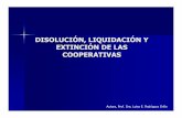 DISOLUCIÓN, LIQUIDACIÓN Y EXTINCIÓN DE LAS …ocw.uc3m.es/derecho-privado/derecho-de-las-corporativas/material-de... · Antes de que los liquidadores sustituyan a los adminis-tradores