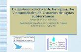 La gestión colectiva de las aguas: las Comunidades de ... · Las comunidades de usuarios del delta del Llobregat Modificación de la ley (2007) Conclusiones. La gestión colectiva