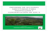 informe de acciones ejecutadas para protección y ...agroindustriaslaflorida.com/data/documents/Informe-AVC-2014_1.pdf · para realizarle actividades de ... Actualmente se encuentra
