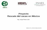Proyecto Rescate del cacao en México - gob.mx · (507 encuestas propias) • La plaga de la Moniliasis ha afectado el 95 % de los ... Vivero de plantas Nacionales ... - Un congreso