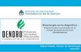 - Bioenergía en la Argentina - · Orienta las investigaciones en tecnología de conversión energética en base ... Generar y transferir capacidades ... Estrategias Bioenergéticas