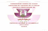 OBSTETRICIA - uandina.edu.pe · Obstetricia de la Universidad Andina del Cusco 2015-2025, presenta dicho documento de gestión, formulado para efectos de lograr la calidad educativa.