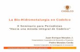 La Bio-Hidrometalurgia en Codelcow.codelco.cl/prontus_codelco/site/artic/20110223/asocfile/... · Block- Caving 1955. ... (ACL), empresa que inicia el proceso de validación de la