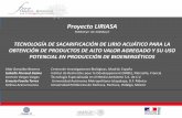 Proyecto LIRIASA - ctifranciamexico.comctifranciamexico.com/foro2013/projets/LIRIASA.pdf · Lorenzo Vargas Vargas Tecnología Especializada en el Medio Ambiente S.A. de C.V. ... 1