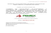 BASES DE LICITACIÓN PARA CELEBRAR …web.compranet.gob.mx:8002/HSM/UNICOM/18578/012/2008/029/... · Web view29 PERSONAL DEL SINDICATO DE TRABAJADORES PETROLEROS DE LA REPUBLICA MEXICANA
