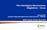 Plan Estratégico Macrocuenca Magdalena Cauca€¦ · RIESGOS 8 Líneas de ... • Planear la localización y tamaño de las actividades ... • Priorizar el seguimiento y control