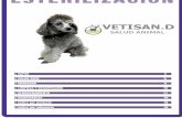 ESTERILIZACIÓN - Vetisand info@vetisand.com AUTOCLAVE PRESTIGE VET Autoclave de esterilización PRESTIGE VET - 9 y 12 litros. Para cualquier necesidad de esterilización. Sistema