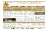 Asociación de Organismos de Agricultores del Sur de …aoass.com/pdfs/boletines/Boletin 147 AOASS - 2014.pdf · y Productividad, Agroproducción Integral, Agroincentivos, PROAGRO
