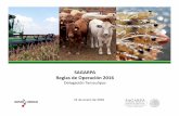 SAGARPA Reglas de Operación 2016 - Gobierno del … · Programa de Fomento a la Agricultura I.‐Agroproducción II.‐Producción Integral III.‐PROAGRO Productivo IV.‐Tecnificación