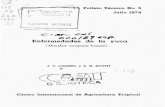 Folleto Técnico No. 5 Julio 1974 - ciat-library.ciat ...ciat-library.ciat.cgiar.org/Articulos_Ciat/2015/CIAT_Colombia... · nado si la causa del rápido deterioro de las raíces