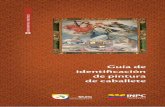 Guía de identificación de pintura de caballete de Arte Maygo, Margot Portocarrero Impresión Ediecuatorial Tiraje | 1500 ejemplares Quito, 2011 ISBN 978-9942-07-158-3 Convenio de