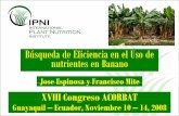 Búsqueda de la eficiente de nutrientes en banano 2 - IPNInla.ipni.net/beagle/NLA-3073&f=Busqueda de eficiecia en el uso de...• Factores controlables e incontrolables que influencian