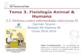 Tema 3. Fisiología Animal & Humanadpbiologia.weebly.com/uploads/2/1/5/5/21553524/gtp_t3.fisiologia... · razón por la que fracasaron los esfuerzos realizados al comienzo del siglo