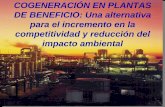 COGENERACIÓN EN PLANTAS DE BENEFICIO: Una …galeon.com/separacionfrutos/cogeneracion.pdf · • En todos los casos analizados la biomasa disponible en las plantas de beneficio,
