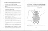 l. Lista faunística y bibliográfica de los Hydrophiloidea ...limnetica.com/pdf/Lista_15_Hydrophiloidea.pdf · LISTAS DE LA FLORA Y FAUNA DE LAS AGUAS CONTINENTALES DE LA PENÍNSULA