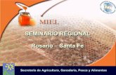 SEMINARIO REGIONAL Rosario – Santa Fe - … · Secretaría de Agricultura, Ganadería, Pesca y Alimentos SEMINARIO REGIONAL Rosario – Santa Fe SEMINARIO REGIONAL Rosario – Santa