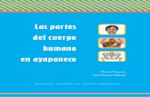 L partes en aYapaneco - site.inali.gob.mxsite.inali.gob.mx/publicaciones/partes_del_cuerpo_ayapaneco.pdf · 1 En el Catálogo de las Lenguas Indígenas Nacionales: Variantes lingüísticas