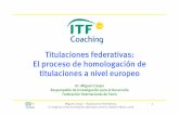 Titulaciones federativas: El proceso de homologación de ...miguelcrespo.net/presentaciones/Titulaciones federativas y... · • Individualizado para el entrenador • Basado en situaciones