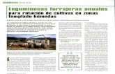 Leguminosas forrajeras anuales - mapama.gob.es · mediante asociación de soja forrajera al maíz y de una leguminosa de invierno al forraje a cosechar en primavera, con beneficios