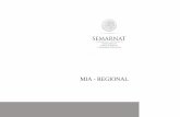 MIA - REGIONAL - El portal único del gobierno. | gob.mx€¦ · 3 De la transcripción anterior conviene destacar que, en la integración de la MIA-regional, el consultor debe centrar