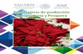 Expectativas de producción Agropecuaria y Pesquera … · con 94% del valor de la producción. Expectativas de producción agropecuaria y pesquera 2017 ... Preparaciones de café,