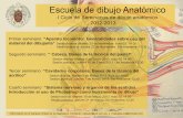 webs.ucm.eswebs.ucm.es/centros/cont/descargas/documento38230.pdf · Escuela de dibujo Anatómico I Ciclo de Seminarios de dibujo anatómico 2012-2013 Primer seminario: "Aparato locomotor-